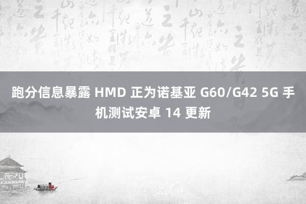 跑分信息暴露 HMD 正为诺基亚 G60/G42 5G 手机测试安卓 14 更新